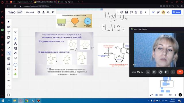 Нуклеотиды смотреть онлайн