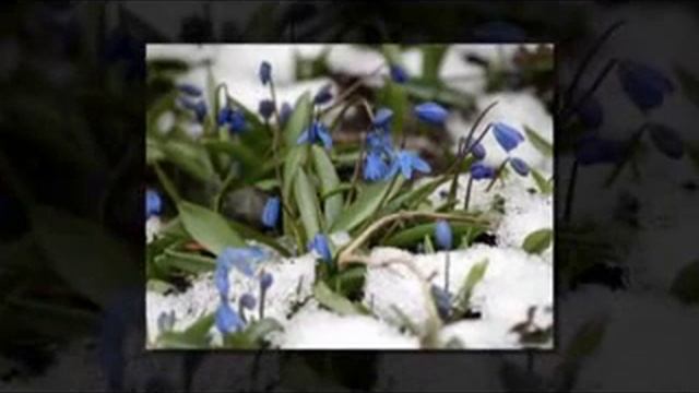 Живите проще смотреть онлайн