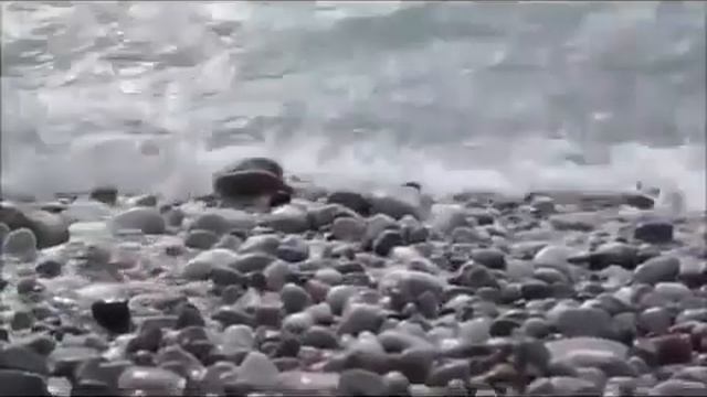 Аритмия Настрой, Сытин (без музыки)