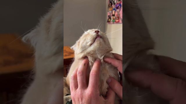 Блаженство🥰