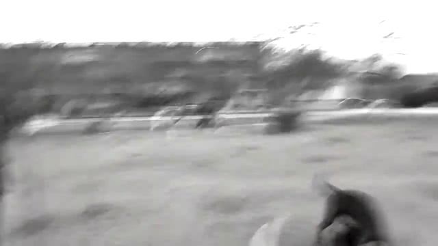 бультики в актау 01.12.2016 смотреть онлайн