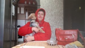 Моя трудовая деятельность 3-Я серия