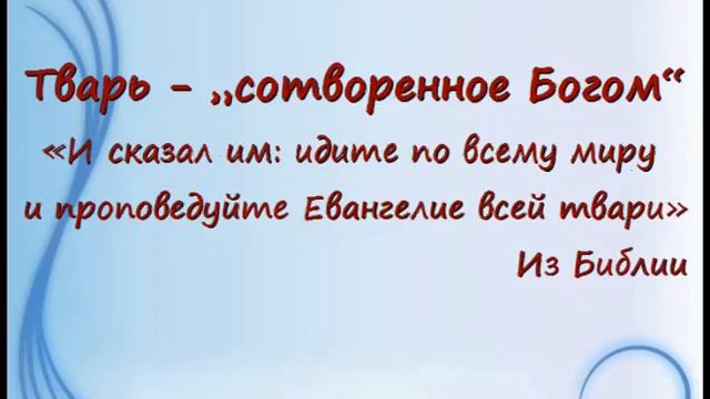 Слова, изменившие свое значение смотреть онлайн