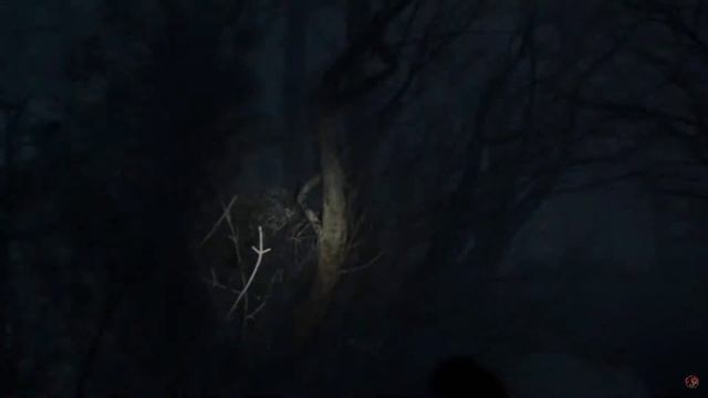 OUTLAST II TRAILER OFFICIAL (1080p) смотреть онлайн