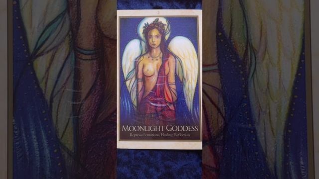 Moonlight Goddess ? Gaia Oracle Card Meaning смотреть онлайн