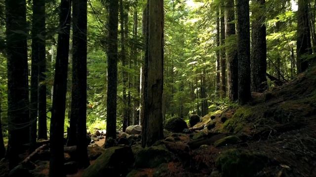 Расслабляющая музыка для сна, медитации и борьбы со стрессом смотреть онлайн