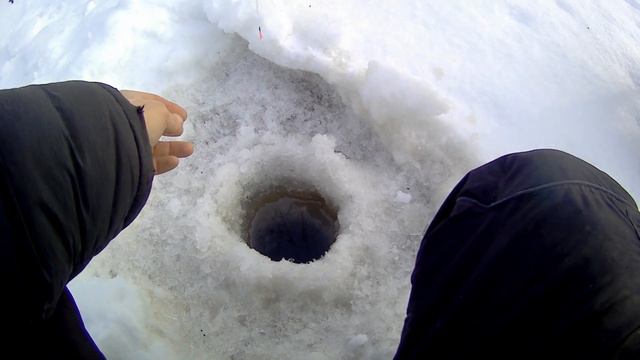 Поиск рыбы в январе 09.01.2022 смотреть онлайн