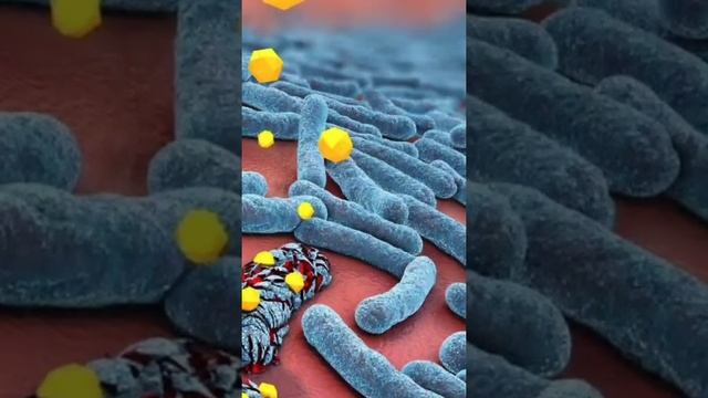 Хрен польза смотреть онлайн