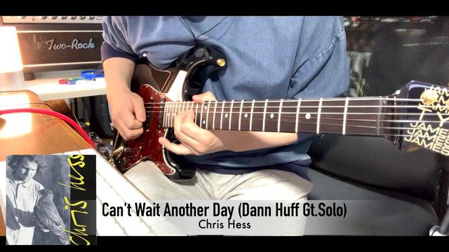 Chris Hess - Can't Wait Another Day【Dann Huff Guitar Solo cover】(James Tyler／Neural DSP) смотреть онлайн