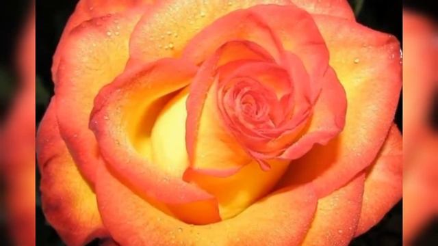 ПОСЛАНИЕ САТЬЯ САИ БАБЫ Которая Полностью Изменит Твою Жизнь #осознани смотреть онлайн