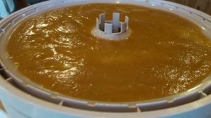ПРЯНО-СОЛЁНАЯ ОВОЩНАЯ ПАСТИЛА