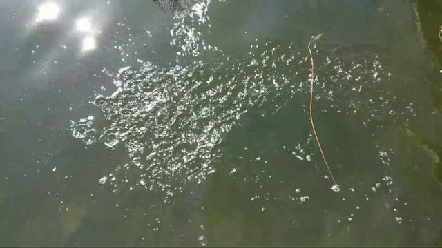 ловля малька сочком без удочки смотреть онлайн