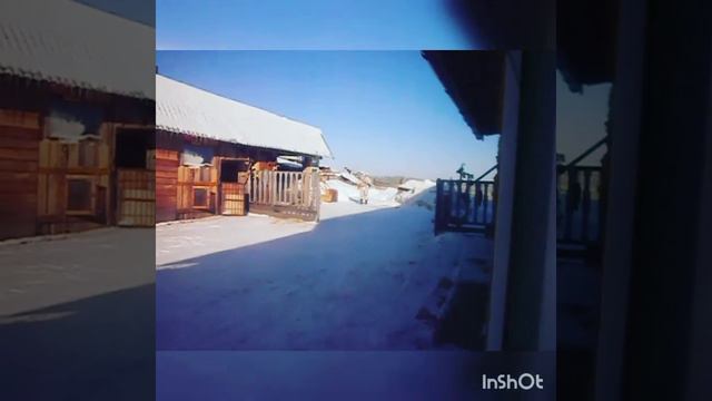 На охоту
# охота #собаки #лайки #оружие #природа снег #лес смотреть онлайн
