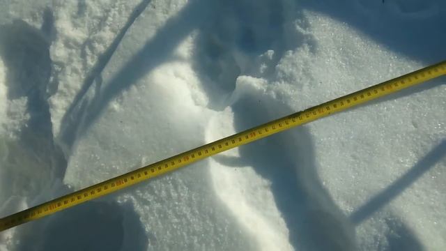 Тест CLONE PI-W & MINILAB QUATTRO