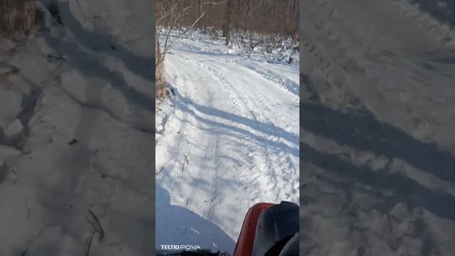 мотороллер муравей? За дровами. смотреть онлайн