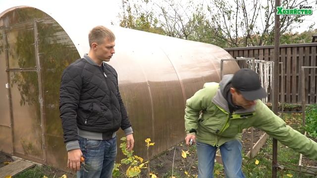 Как размножать смородину Способы и рекомендации смотреть онлайн