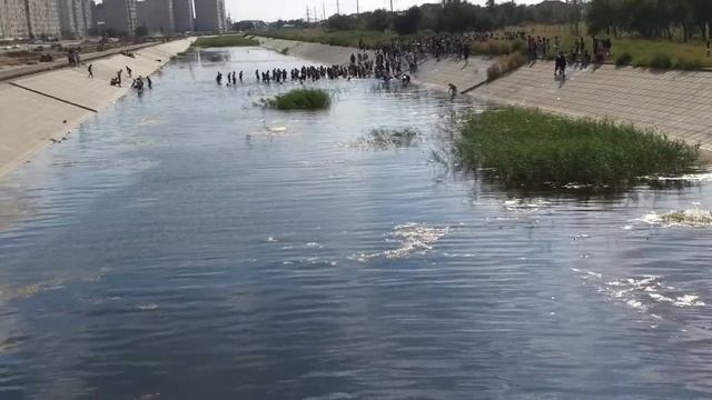 Массовые купания в Актобе 12-08-2014 смотреть онлайн