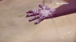 Как это сделано ; Сыр Пармезан