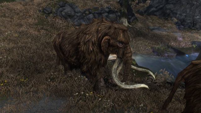 5 Must Have Skyrim Mods #10 смотреть онлайн