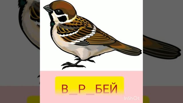 Урок русского языка в 4 классе на тему: "Сложное предложение." смотреть онлайн