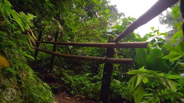 COSTA RICA IN 4K 60fps ULTRA HD w Freefly Movi смотреть онлайн