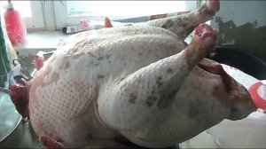 Выход тушки белой широкогрудой индейки //Секреты хороших урожаев.