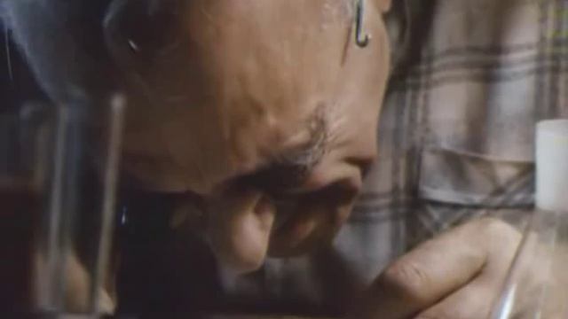 Не будите спящую собаку