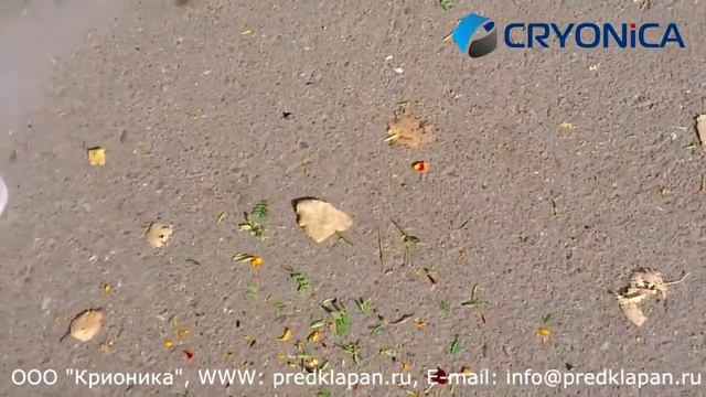 ООО Крионика и жидкий азот смотреть онлайн