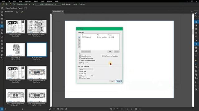 How to Use the Thumbnails Panel Editing Options in Bluebeam Revu by Brighter Graphics смотреть онлайн