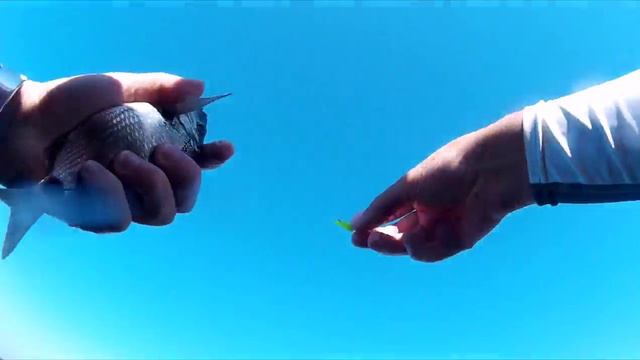 Рыбалка на каяке Feelfree Moken 14 смотреть онлайн