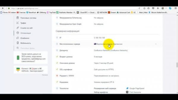 Capital Alliance Group миллионы в сети или как разводят наивных новичков Не попадитесь к аферистам