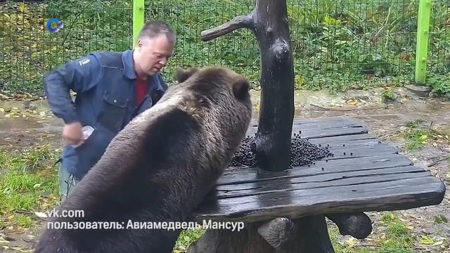 ДИКИЕ ЖИВОТНЫЕ В ГОРОДЕ | «Самое время» с Ефимом Овчинниковым смотреть онлайн