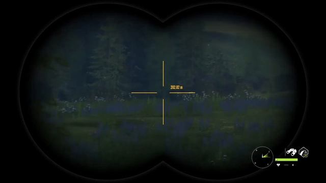 The hunter:Call of the wild:Turkey Hunt with a very nice surprise at the end! смотреть онлайн