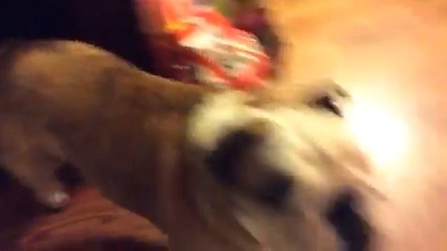 The jump moo смотреть онлайн