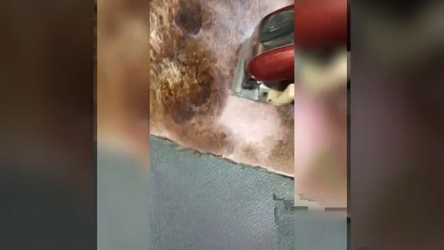 конусная планшайба делает проще заточку ножевых блоков для стрижки волос смотреть онлайн