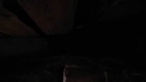 Какую породу кур заводить для насиживания.