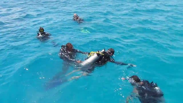 MVI 0176 Погружение в Красное море,Хургада 08.04.2014 смотреть онлайн