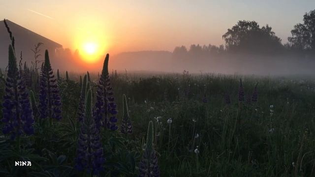 Послушайте СБОРНИК Красивой Душевной МУЗЫКИ Э. Туниянца, Созерцая Удивительный Рассвет! смотреть онлайн
