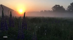 Послушайте СБОРНИК Красивой Душевной МУЗЫКИ Э. Туниянца, Созерцая Удивительный Рассвет!