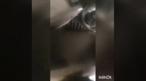 замена переднего сальника раздатки ланкрузер 200