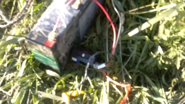 Миниатюрный насос для полива рассады и огорода. смотреть онлайн