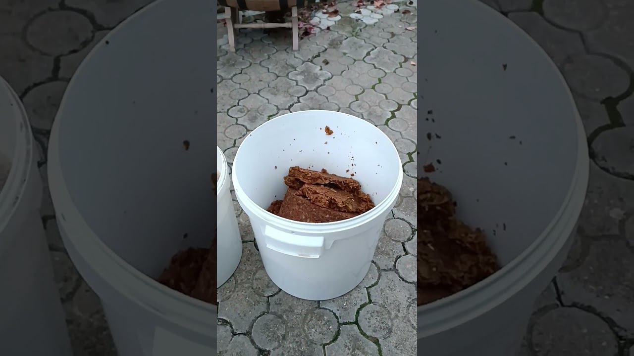 Наглядная арифметика домашнего сидродела или сколько сока получается из яблок #shorts #сидр смотреть онлайн