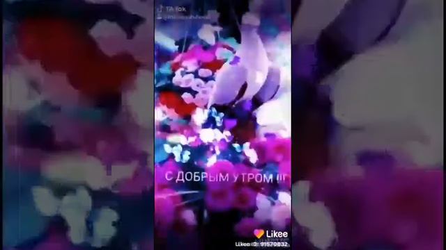 С добрым утром!!! С новым днём, мои любимые друзья!❤️