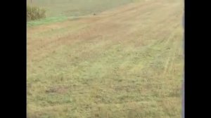 PCP пневматика .Охота на зайца .Дальний выстрел. Benjamin Marauder 5.5 мм.