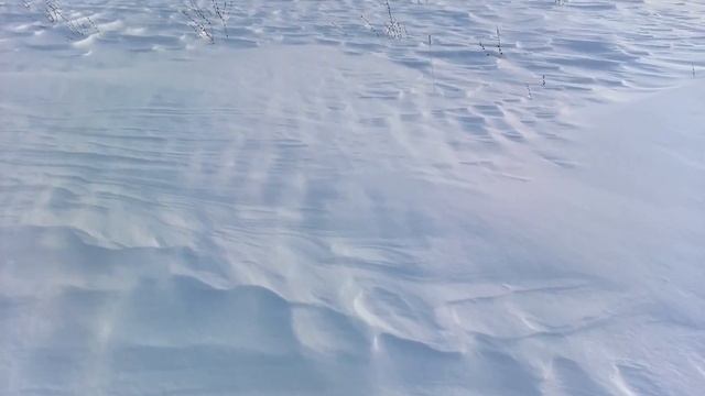 Лыжные походы и прогулки. Дмитриевка, Уфимский район 2022 смотреть онлайн