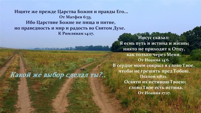 Какой же выбор сделал ты?... смотреть онлайн