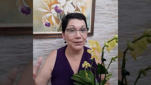 Novidades da semana 25 Outubro 23 смотреть онлайн