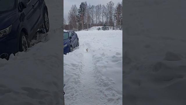 первая космическая Артилия смотреть онлайн