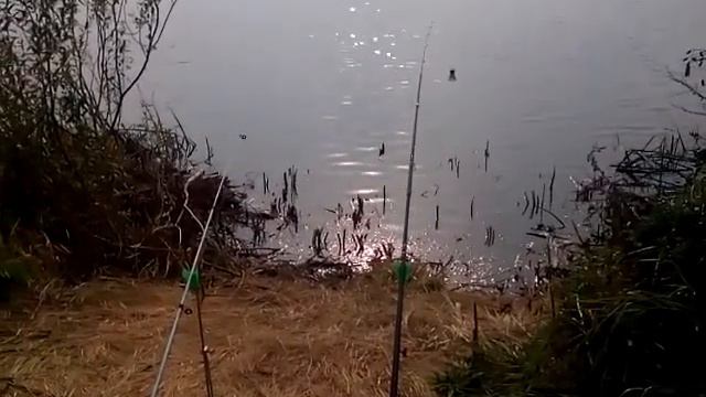 как выуживать карпа смотреть онлайн