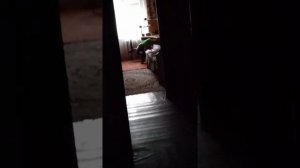 Дима амогус срал в туалете